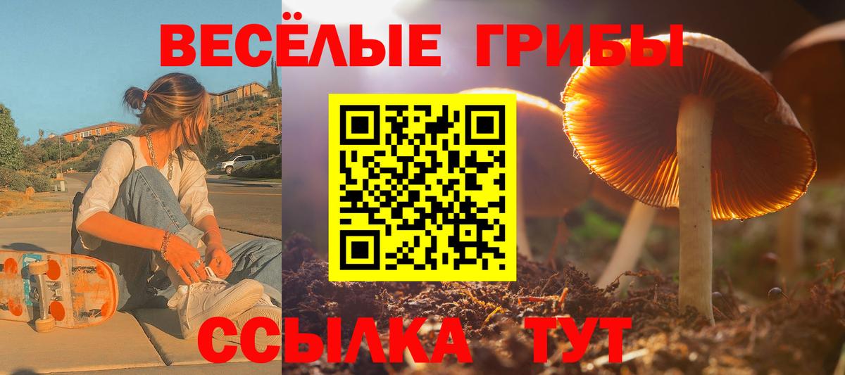 цена   Вход с VPN  Вологда  Псилоцибиновые грибы Cubensis 